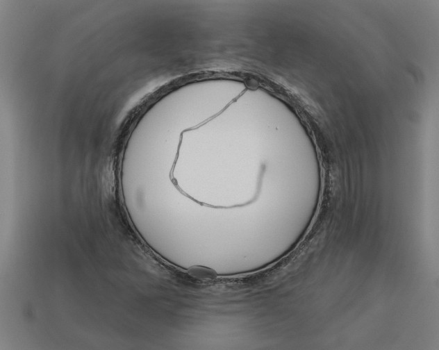 X0000113531262200910161341