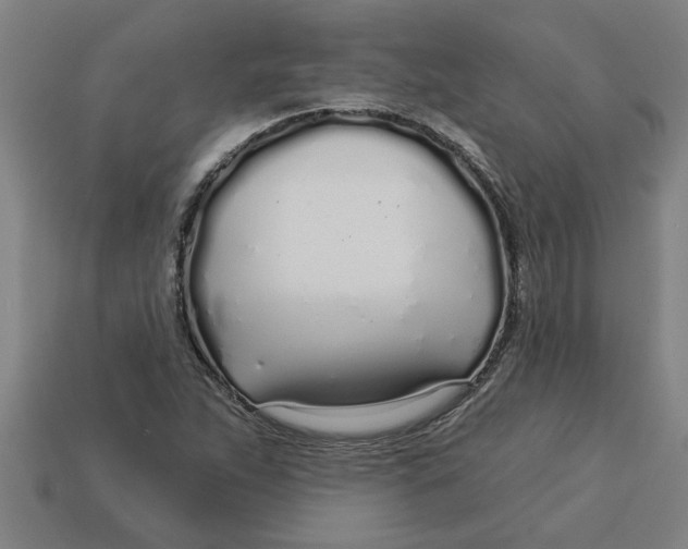 X0000113531263200910161341