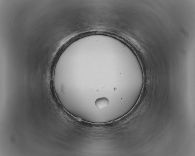 X0000113531264200910161341