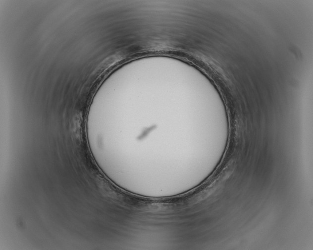 X0000113531265200910161341