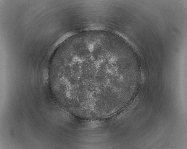 X0000113531266200910161341