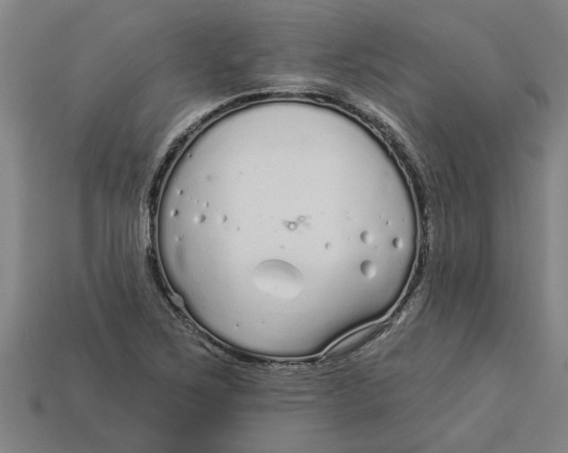 X0000113531267200910161341