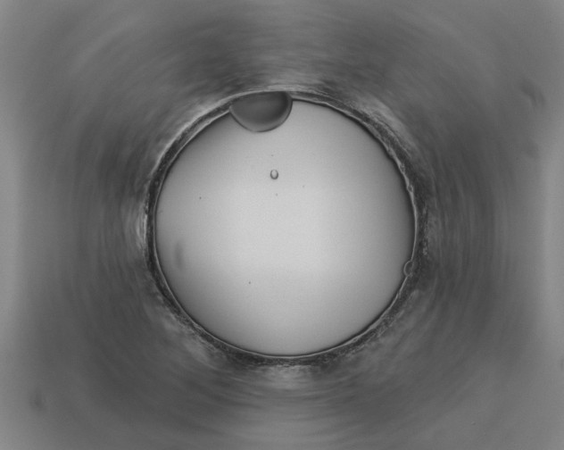 X0000113531268200910161341