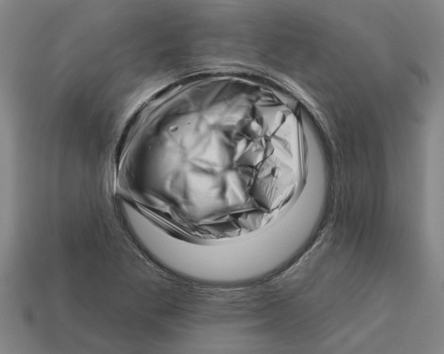 X0000113531269200910161341