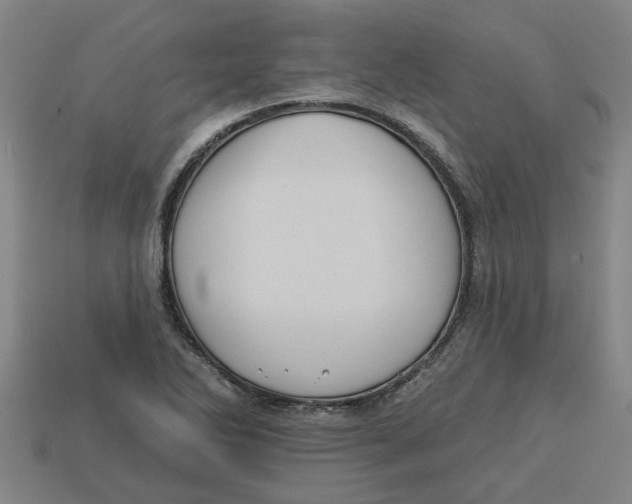 X0000113531270200910161341