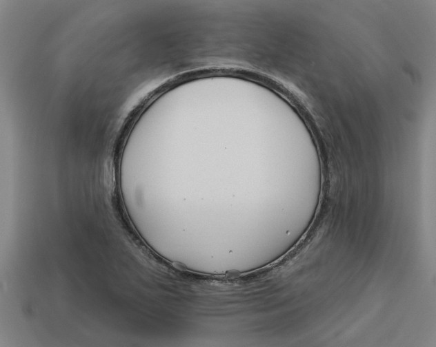 X0000113531271200910161341