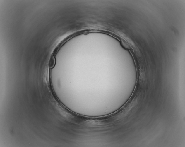 X0000113531272200910161341