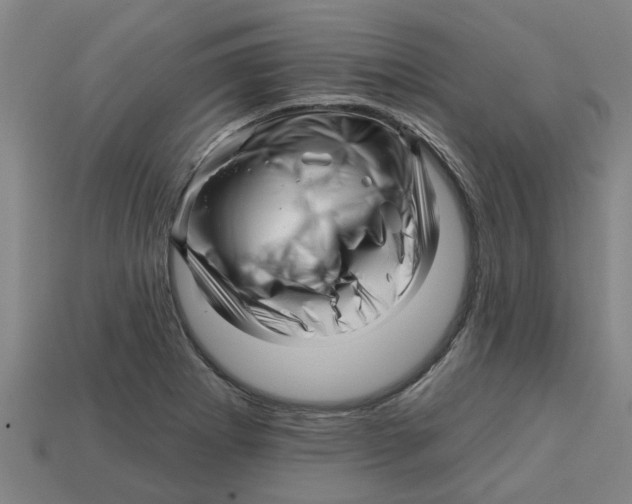 X0000113531273200910161341