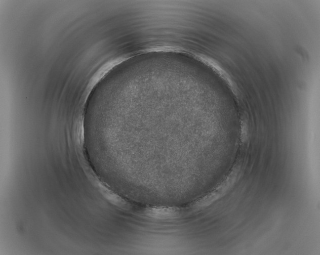 X0000113531274200910161341