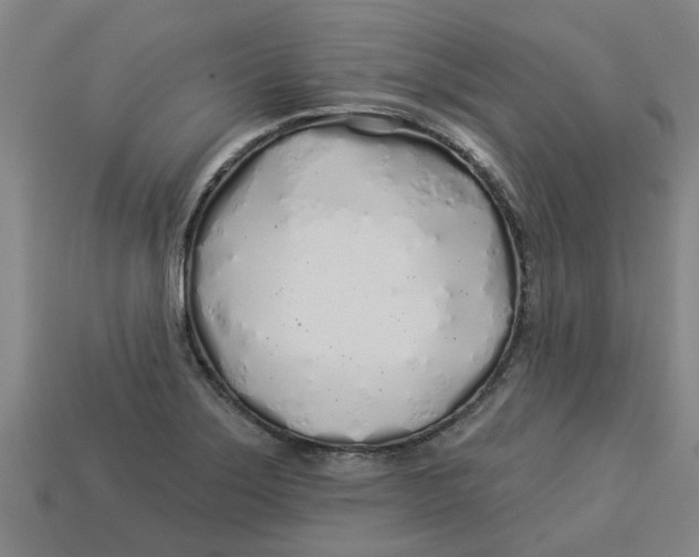 X0000113531275200910161341