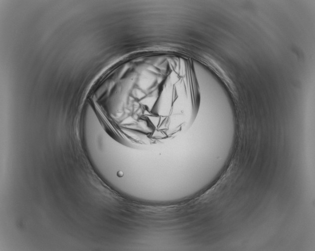 X0000113531276200910161341