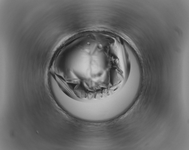 X0000113531277200910161341