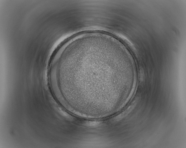 X0000113531278200910161341