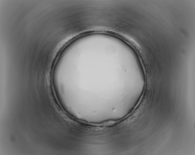 X0000113531279200910161341