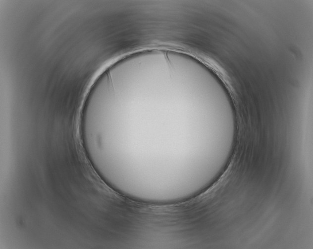 X0000113531280200910161341