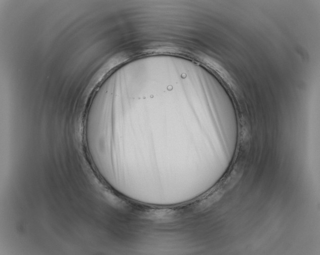 X0000113531282200910161341