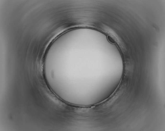 X0000113531284200910161341