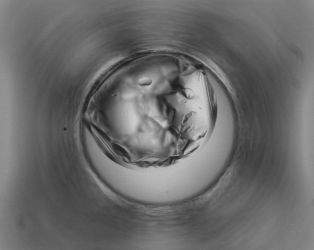 X0000113531285200910161341