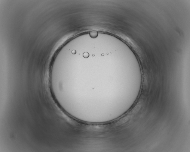 X0000113531286200910161341