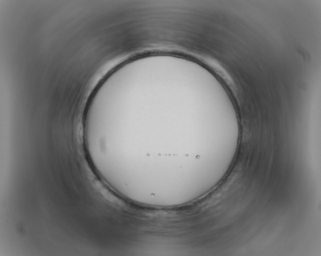 X0000113531287200910161341