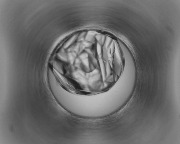 X0000113531288200910161341