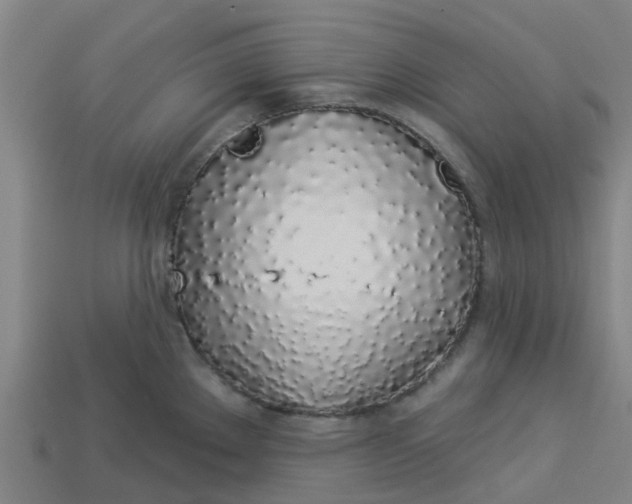 X0000113531289200910161341