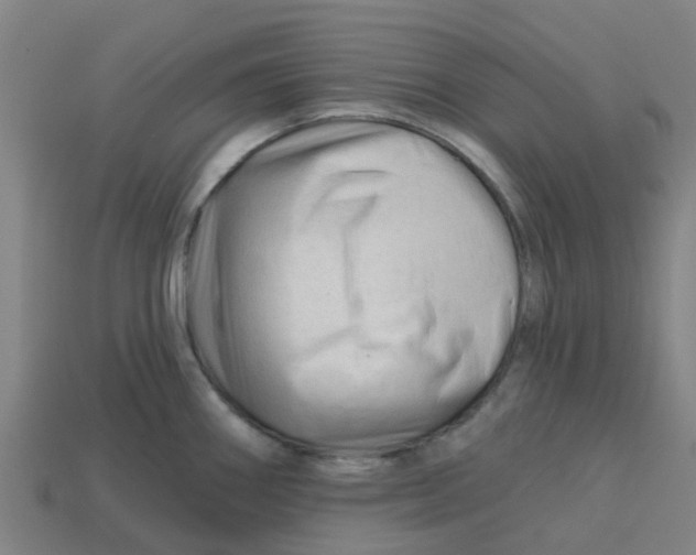 X0000113531290200910161341