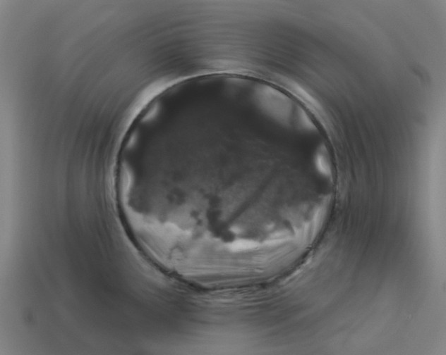 X0000113531291200910161341