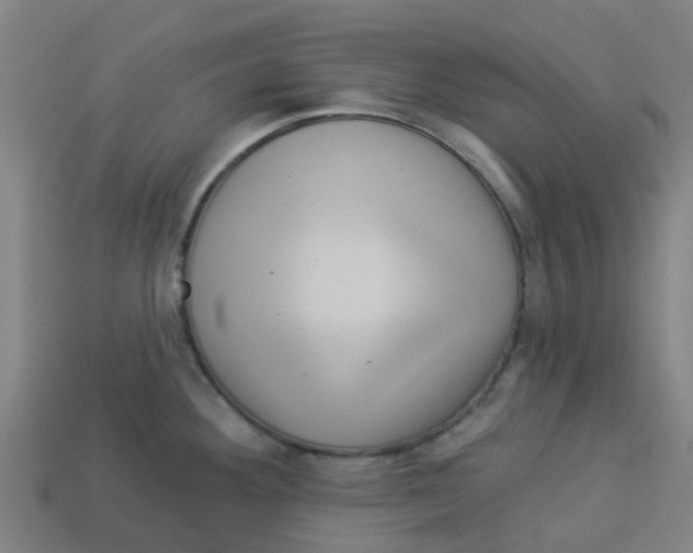 X0000113531292200910161341