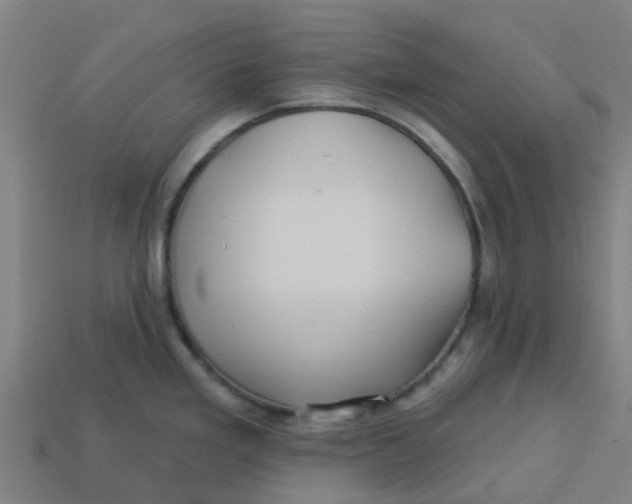 X0000113531293200910161341