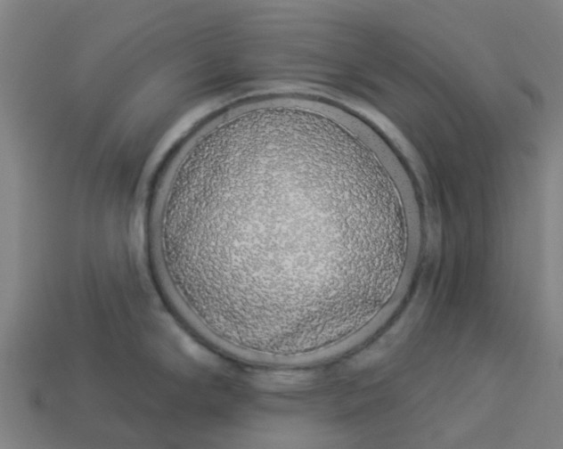 X0000113531294200910161341