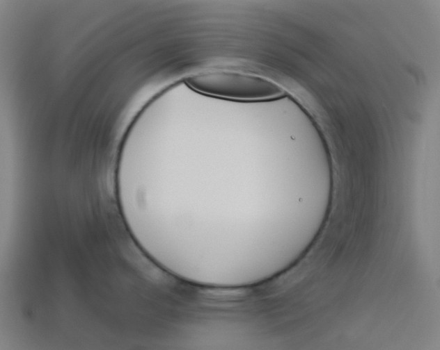 X0000113531296200910161341