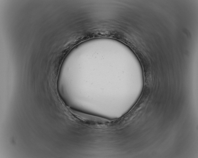 X0000113531297200910161340