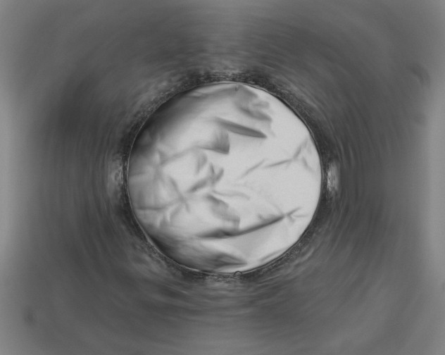 X0000113531299200910161340