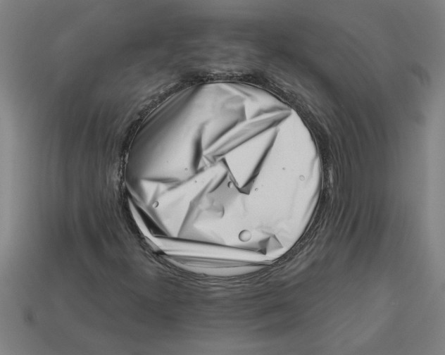 X0000113531300200910161340