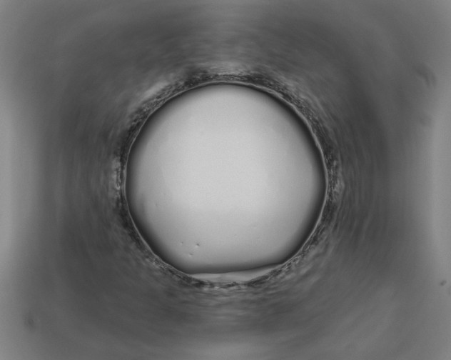 X0000113531301200910161340