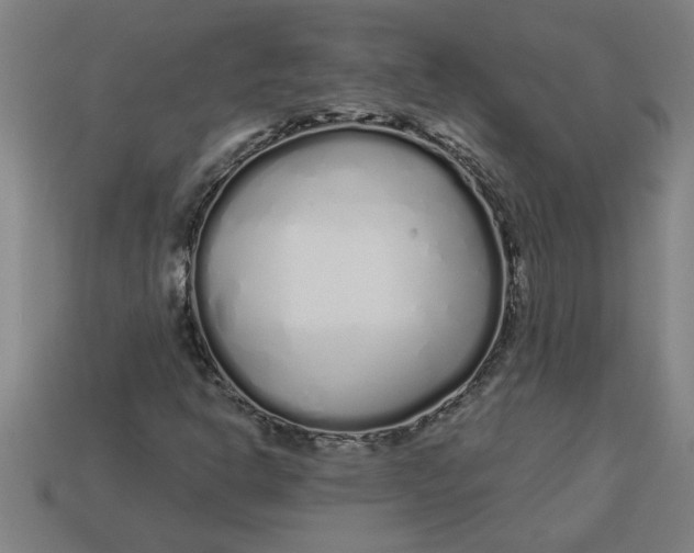 X0000113531302200910161340