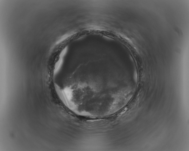 X0000113531303200910161340