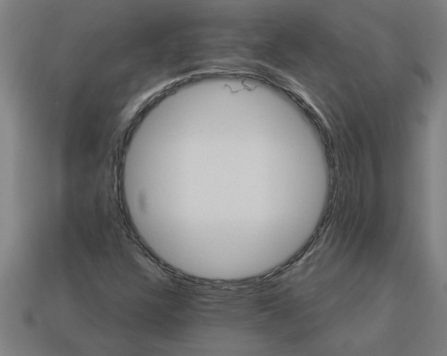 X0000113531304200910161340