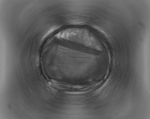 X0000113531306200910161340