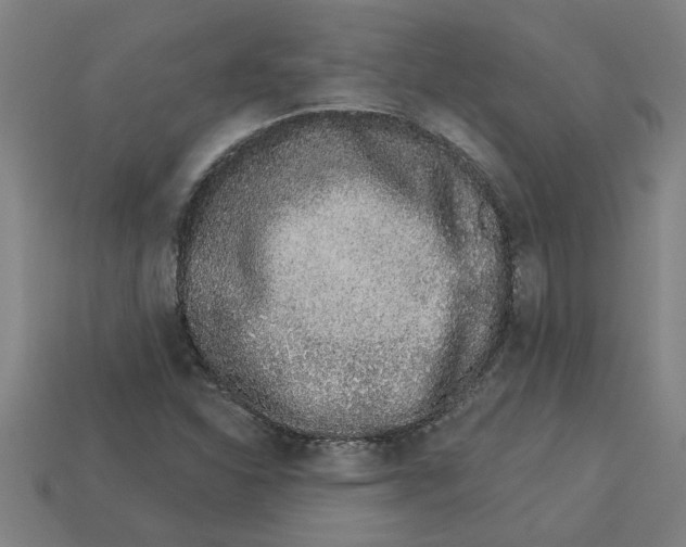 X0000113531310200910161341