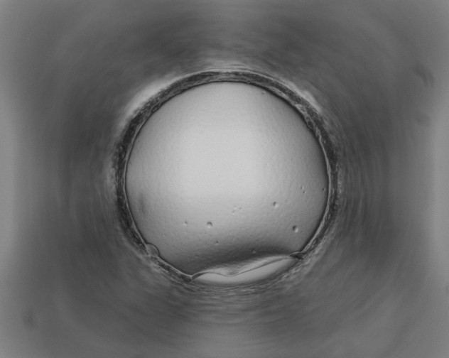 X0000113531311200910161341