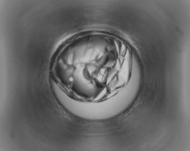 X0000113531312200910161341