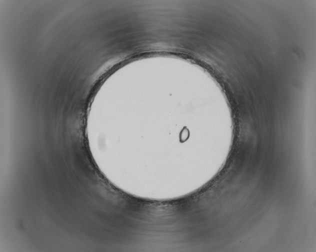 X0000113531314200910161341