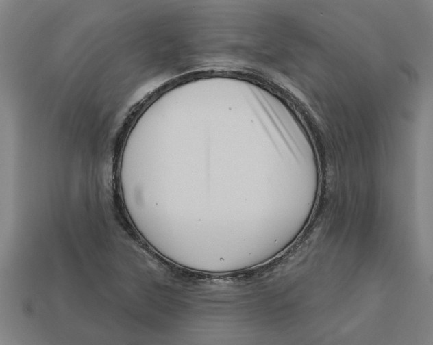 X0000113531315200910161341