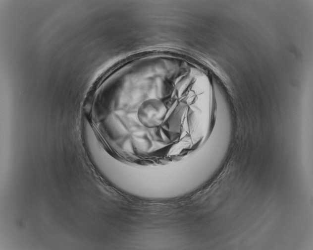 X0000113531316200910161341