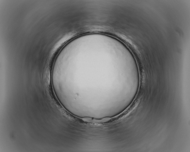 X0000113531317200910161341