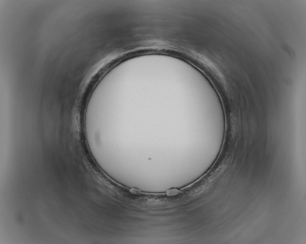 X0000113531318200910161341