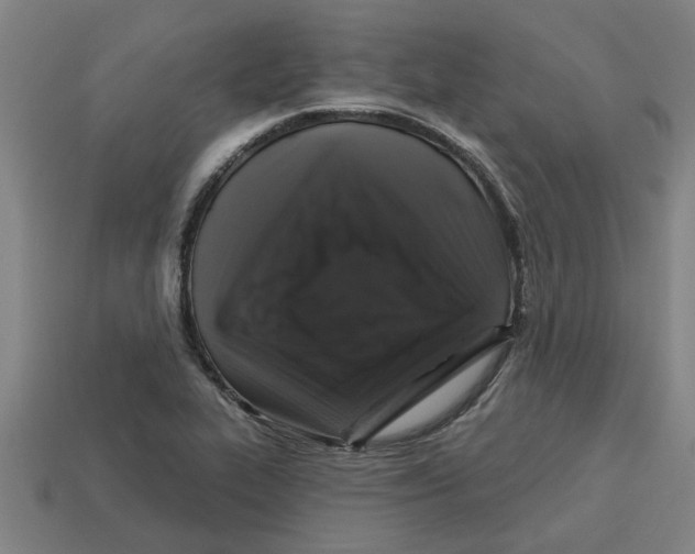 X0000113531319200910161341