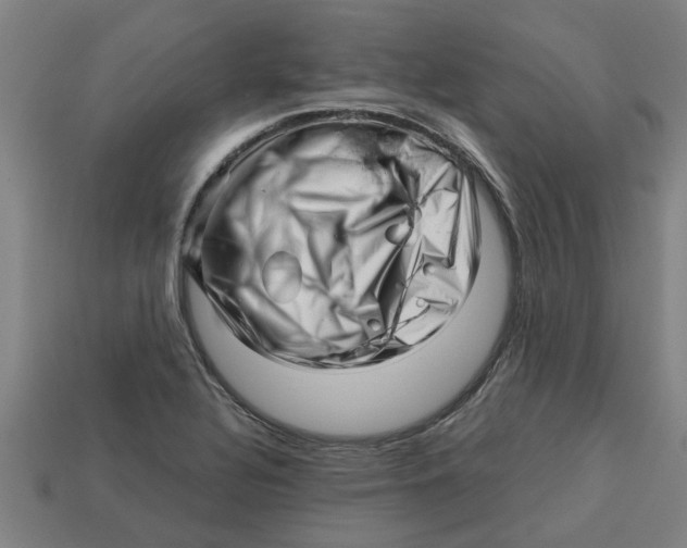 X0000113531320200910161341